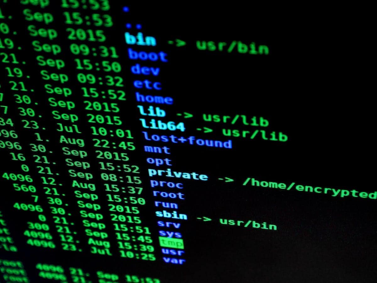 Décryptage du cryptage homomorphe : un bouclier essentiel pour la sécurité des données en entreprise sur le web