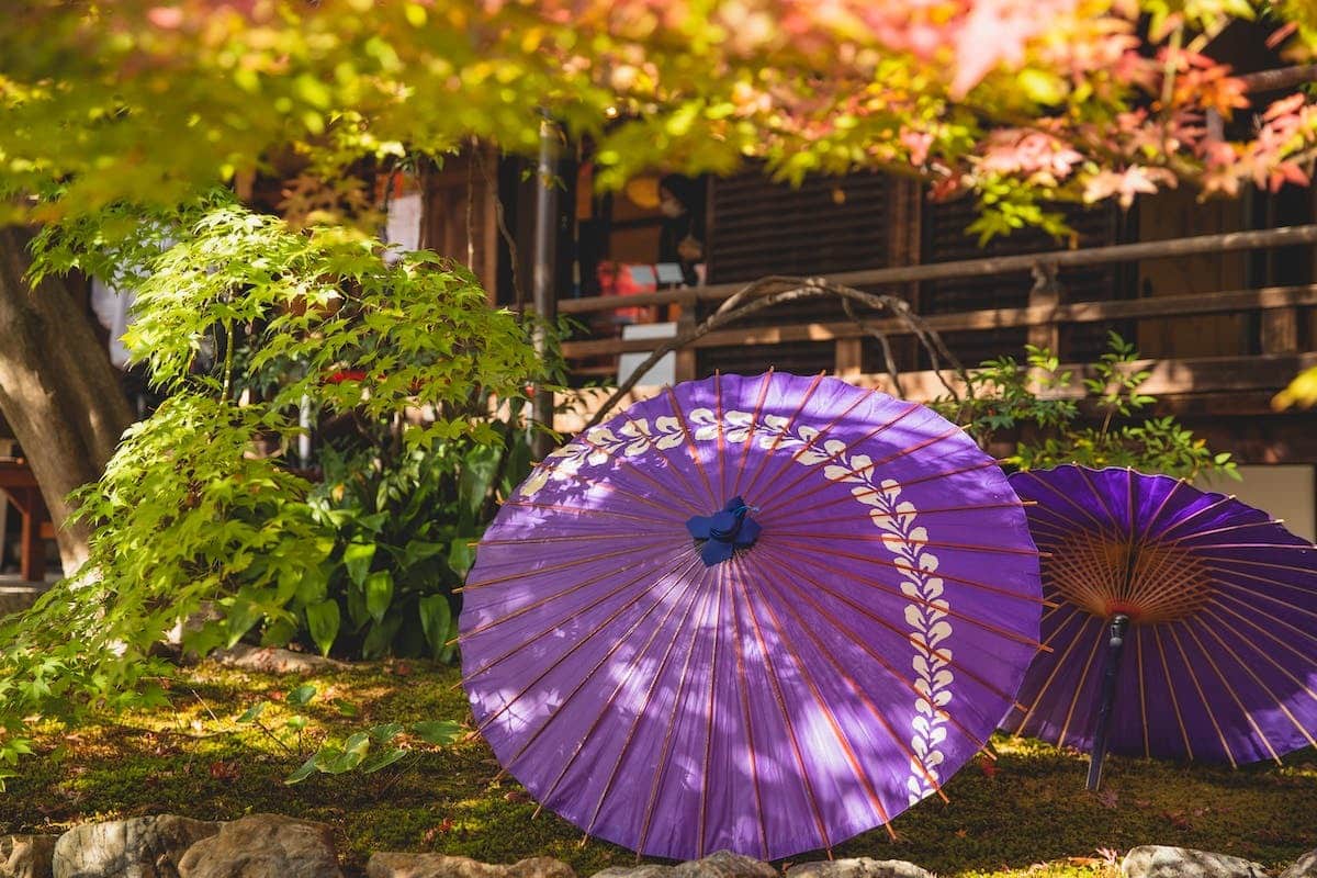 Maximiser l’équilibre du jardin avec le Feng Shui : stratégies pour une harmonie parfaite